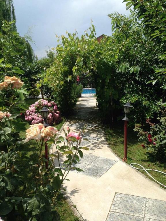 Villa Amsterdam Ohrid Exterior photo