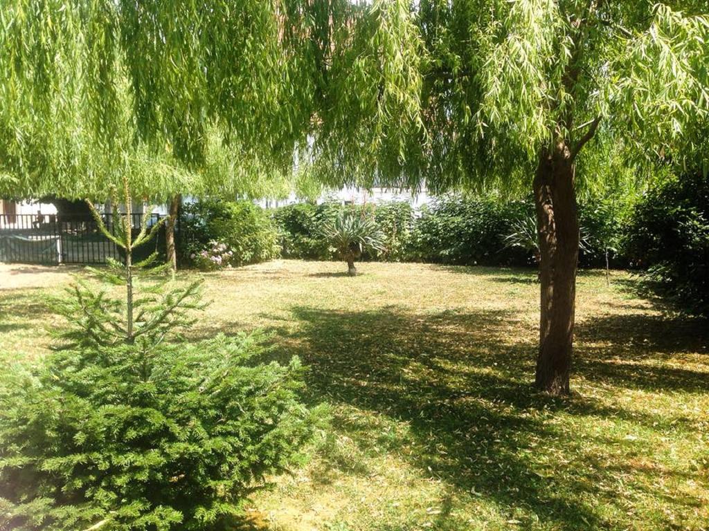 Villa Amsterdam Ohrid Exterior photo